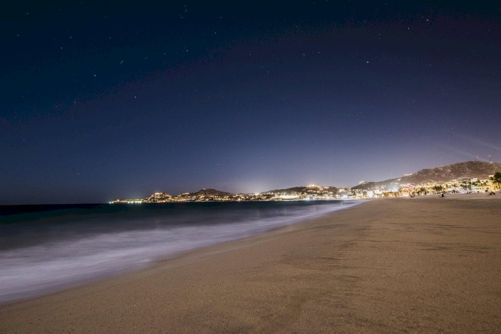 The poetic beauty of the night sea